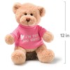 GUND “I’m The Big Sister” Message Bear with Pink T-Shirt,