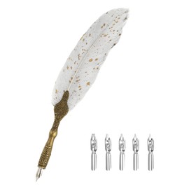 PATIKIL 24.5cm/9.6" Calligraphy Feather Quill Pen, Vintage Feather Dip Pen with 5 Replacement Nibs for Calligraphy Writing Wedding Office Gifts, Gray