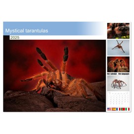 Mystical tarantulas (Monthly Wall Calendar 2025 11.7" x 16.5" (open)), CALVENDO 14 Month Calendar