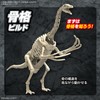 Bandai Spirits Planosaurus Terizinosaurus, Color-coded Plastic Model