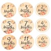 Kisangel Baby Monthly Milestone Cards Set Wooden Flower Milestone Sign