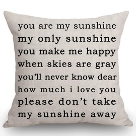Swono You are My Sunshine Farmhouse Pillow, Song Lyrics Presents, Happiness Quote Living Room Throw Pillow, Pillow Covers