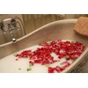 Set of 24 Soap Flower Heart Box - Red