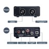 Peakloong HiFi Fever Digital Audio Amplifier D200P TPA3221 Mono High