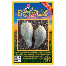 Everwilde Farms - 20 Sibley Winter Squash Seeds - Gold Vault Jumbo Seed Packet