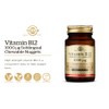 SOLGAR Solgar Vitamin B12 1000 mcg, 250 Nuggets - Supports
