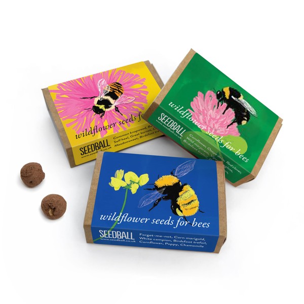 SEEDBALL Bumble Bee Mix Seed Bombs (3X Wild Flower Match Boxes, 6 Balls Per Box), Bee Friendly British Wildflower Seeds | Gardening Gifts for Women & Men, Seed Bomb with Poppy, Cornflower, and More