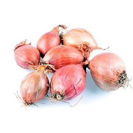 French Shallots 1 lb.