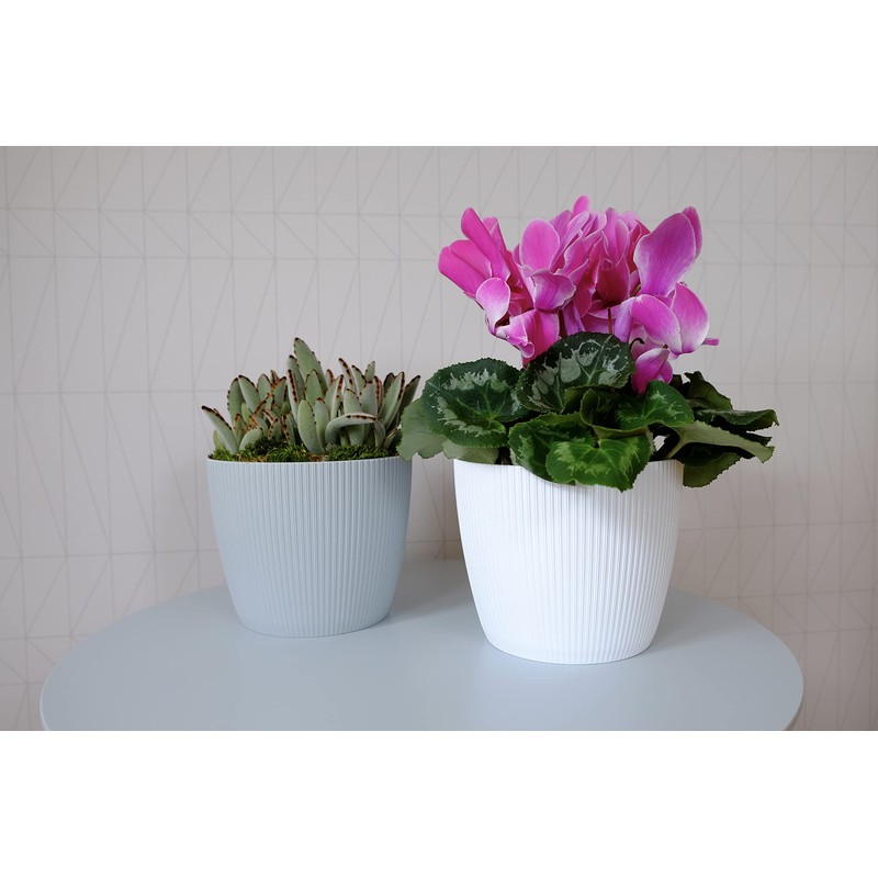 Tymar Flowerpot, pack of 2, round shape, planter (2 pack),