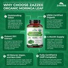 Zazzee USDA Organic Moringa Leaf 20:1 Extract, 240 Vegan Capsules