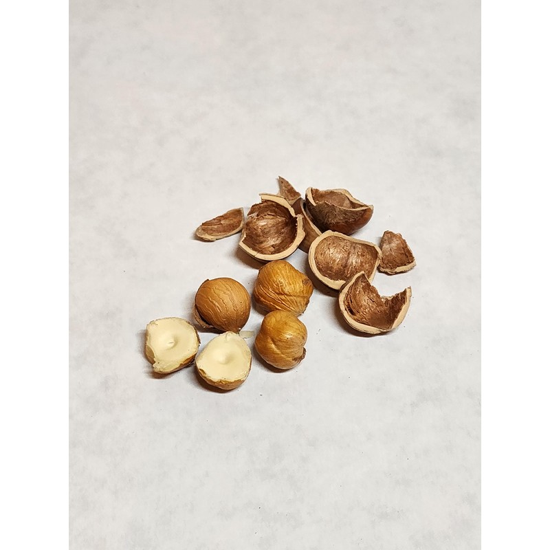 Hazelnuts in-shell, grown in our family's orchard in Washington state