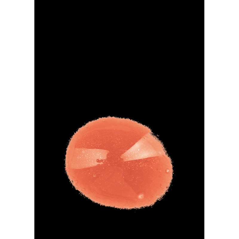 Annemarie Borlind Lip Gloss Peach 9.5 ml