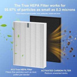 XQ True HEPA Replacement Filter X Compatible with Winix XQ, XQ Pro Tower Air Cleaner Purifier, 1712-0089-01-0101-02, 2 x H13 HEPA & 2 x Activated Carbon Filters