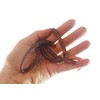 Set of 24 Stretchy Earthworm Stretchy Noodle Fidget Toys -