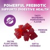 Fiber Gummies – Sugar Free Prebiotic Plant-Based Fiber 4g per