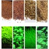 4 Bags Aquarium Plant S.e.e.ds, not Artificial Plastic Plant, Fish