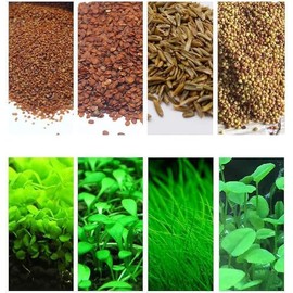 4 Bags Aquarium Plant S.e.e.ds, not Artificial Plastic Plant, Fish Tank Live Grass for All Substrate