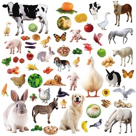 Farm Animal Stickers for Kids Assortment Barnyard Animal Decals for Birthday Party Decorations School Reward Supplies 400Pcs 8 Sheets