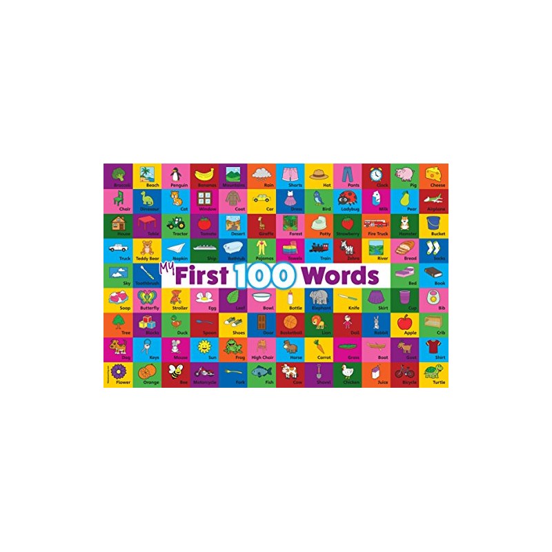 Palace Learning My 100 First Words LAMINATED Poster (18 x