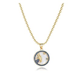 SBI Jewelry Capricorn Gold Birthday Zodiac Necklaces for Women Cubic Zirconia Choker Gift Necklaces for Family Friends Christmas Anniversary