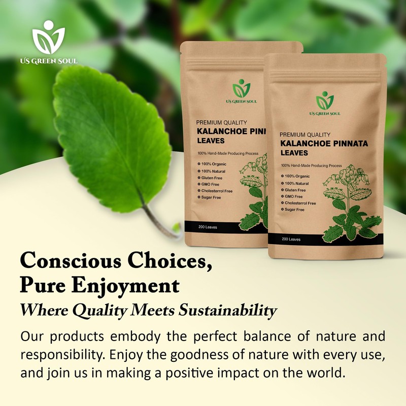 200 Kalanchoe Pinnata Leaves - 100% Pure, Organic, Dried Leaves