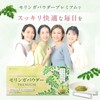 モリンガパウダー 粉末 100% 国産 熊本県産 無農薬 無添加 ノンカフェイン モリンガサプリ 管理栄養士監修【