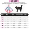 Eyein Cat Harness and Lead Set for Walking, Adjustable Soft
