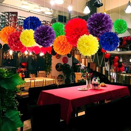 Rainbow Tissue Paper Pom Poms 12Pcs- Hanging Paper Flowers for Wedding Birthday Graduations Christmas and Special Occasions(10 & 12 inch) ﻿