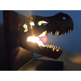 Dinosaur fossil light