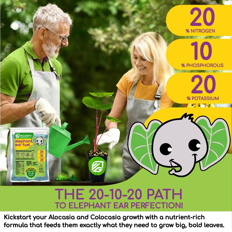 Elephant Ear Fertilizer Fuel - 2 Pounds - Water-Soluble 20-10-20