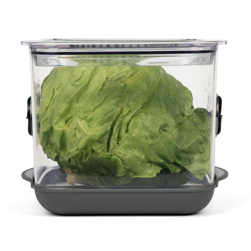ProKeeper+ by Progressive Stackable Produce ProKeeper Storage Container with Stay-Fresh