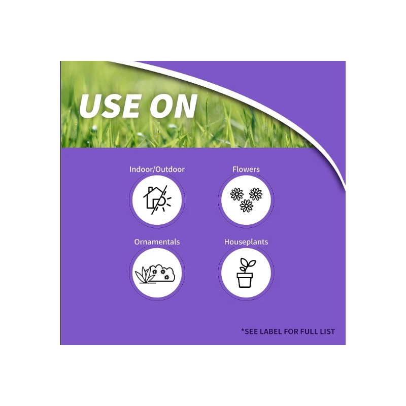 Bonide Systemic Houseplant Insect Control, 8 oz Ready-to-Use Granules for