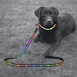Yacig LED Dog Leash - USB Rechargeable, Color Changing Night Safety Dog Leashes for Small Medium and Large Dogs