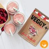 Veggy+ Vegan Protein Powder (Vanilla Raspberry) from Rice and Pea