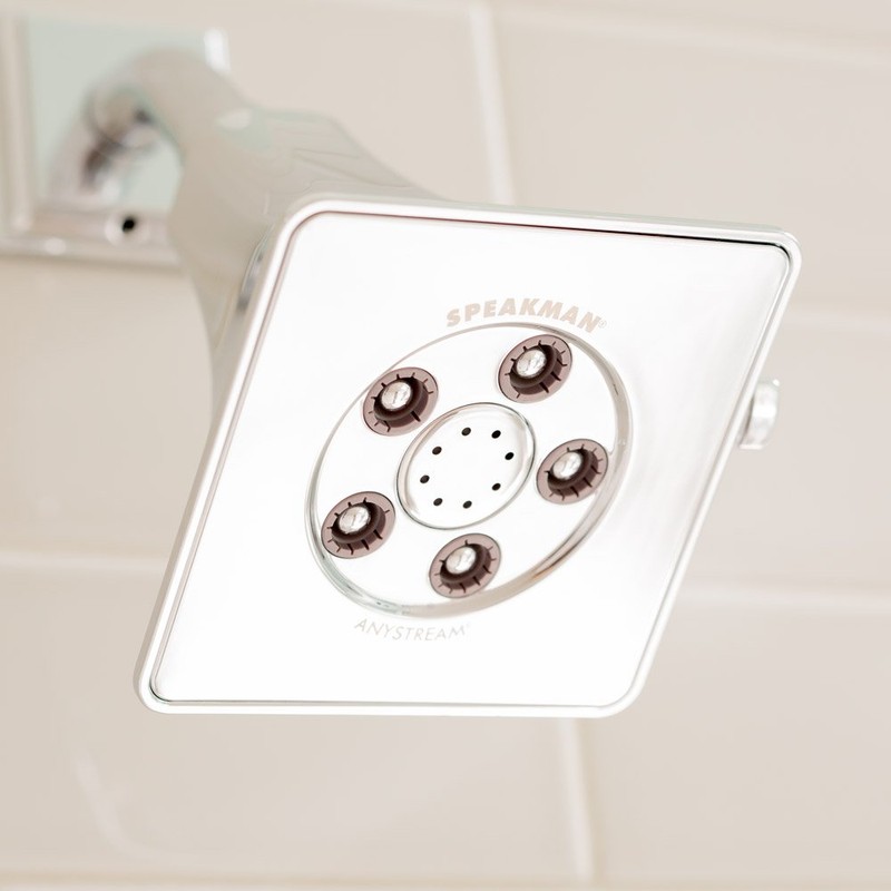Speakman S-3018-E2 Rainier Anystream Adjustable 2.0 GPM Shower Head, Polished