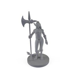 Tieflint Female Barbarian Tabletop DND Gaming Miniature