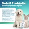 PETS Dolfos Dolvit Probiotic and Prebiotic Digestion Aid for Dogs