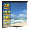 Segawe 120" 1:1 HD Projector Screen Manual Pull Down Projection