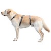 Kerbl Miami Panic Harness (Grey, Neck Circumference 48 - 64