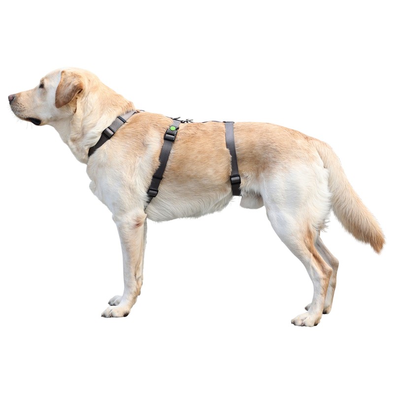 Kerbl Miami Panic Harness (Grey, Neck Circumference 48 - 64