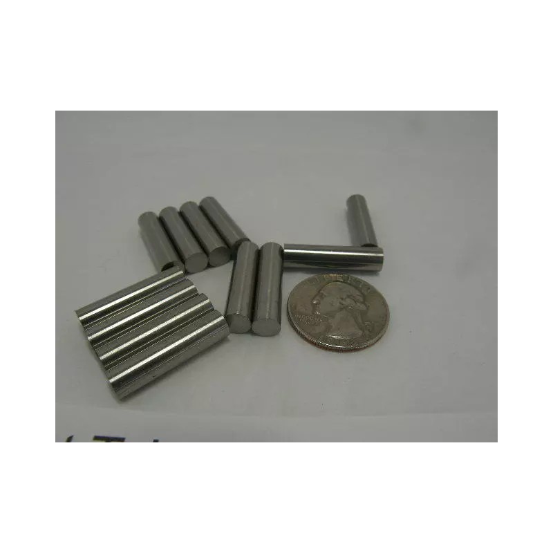 wcts (4) Four Magnets for most Tracking Dog Collars Beep