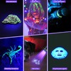 DARKDAWN UV Flashlight 395nm Black Light Mini USB Rechargeable Ultraviolet