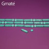 Gmate Lancetas Nanolet Para Glucometro Gmate 50 Pzas Color Azul