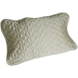 Ee Futonya Made in Japan 100% Silk Pillow Pad 43 x 63cm Washable Moisturizing Beauty Satin Silk Cover Reversible Cotton For Women Hair Care Skin Care (Blue)