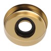 Stainless Steel S Shaped Raised Shower Arm and Flange NPT
