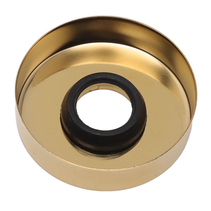Stainless Steel S Shaped Raised Shower Arm and Flange NPT