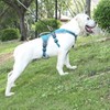 BELPRO Multi-Use Support Dog Harness, Escape Proof No Pull Reflective