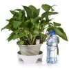 (8-Pack) Automatic Plant Watering System Devices, Slow Release Ceramic Material