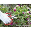 Garden Shears Comfort CFS-2319T Gardening Shears, Sharp, Precise Blades, Thin