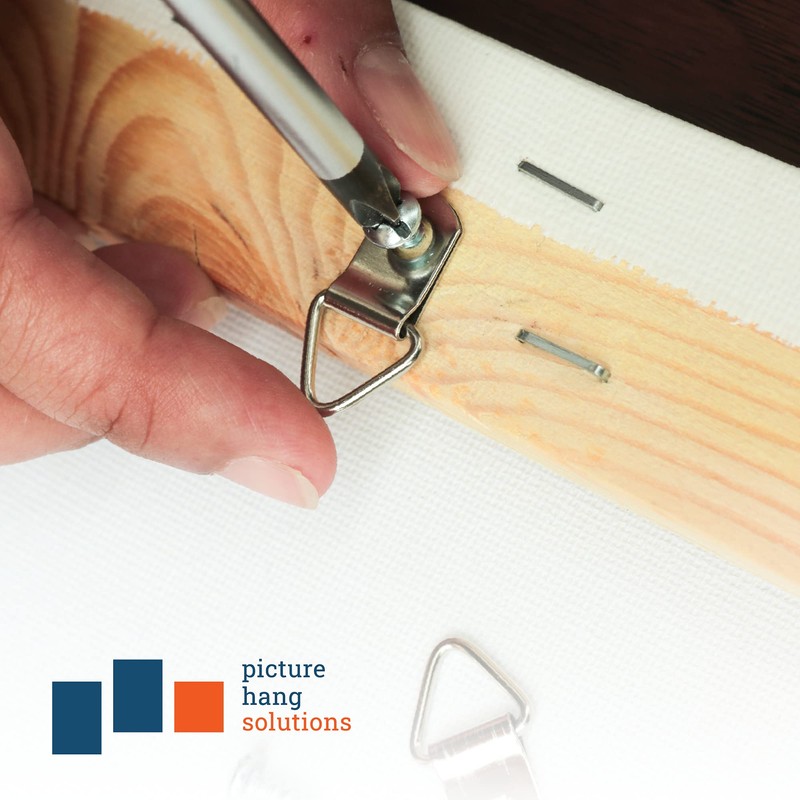 PHS D-Ring Picture Hangers with Screws 100 Pack - Small